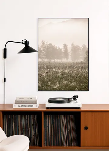 Foggy Morning