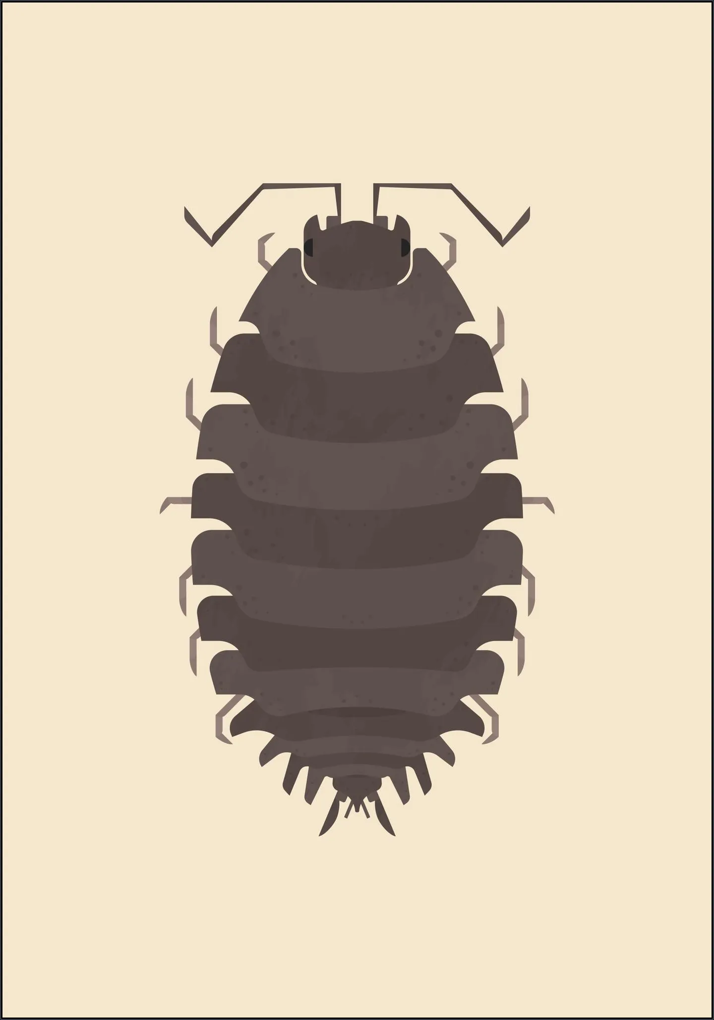 Woodlouse
