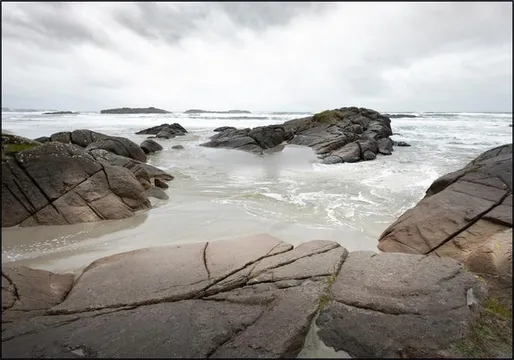 Seascape Silence