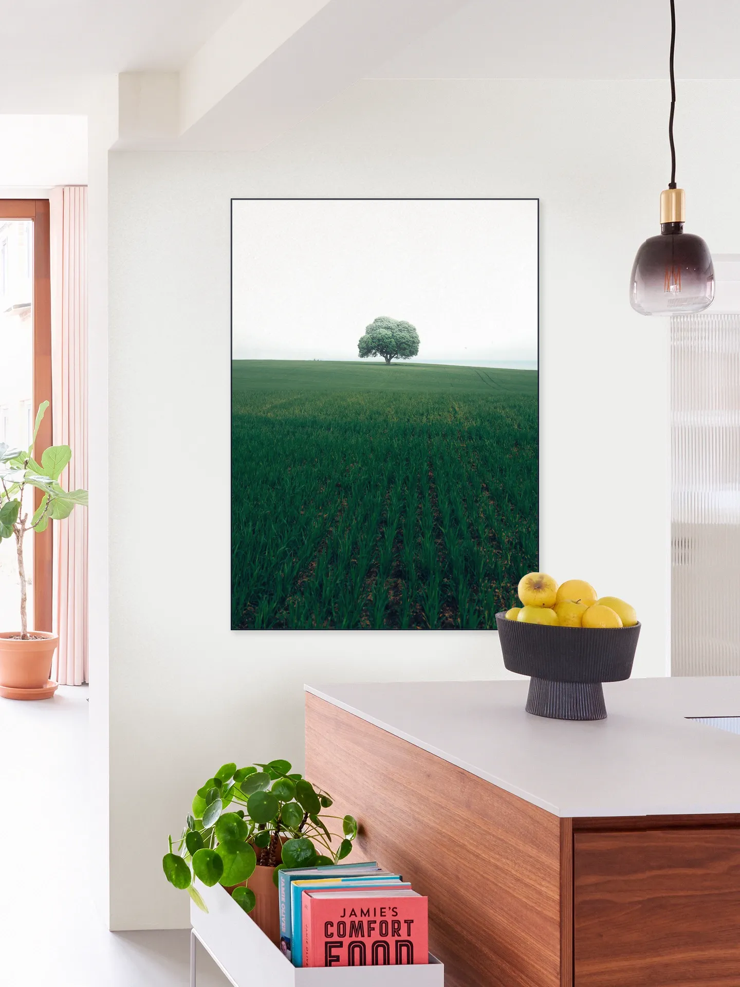 The lonely Oak Tree