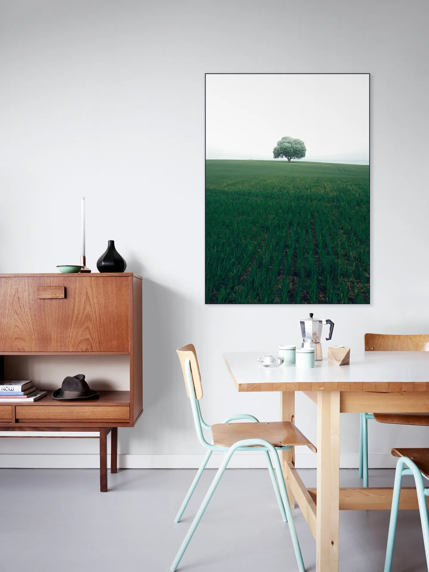 The lonely Oak Tree