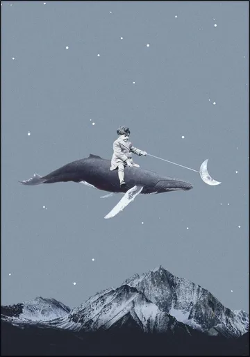 Aim for the Moon