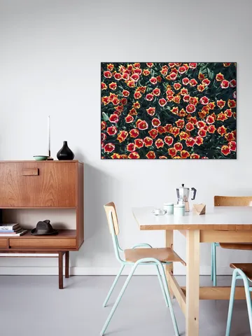 Floral Symphony