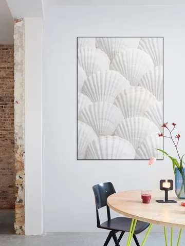 Seashell Symphony