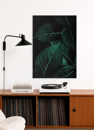 Dark Leaves