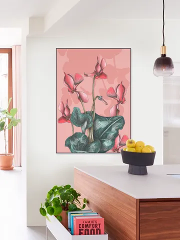 Cyclamens