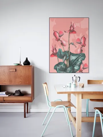 Cyclamens