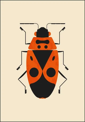 The Firebug
