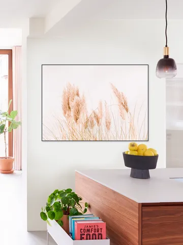 Pampas Grass