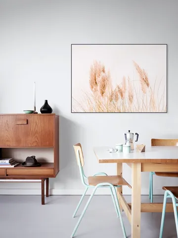 Pampas Grass