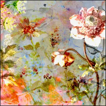 Wild Rose