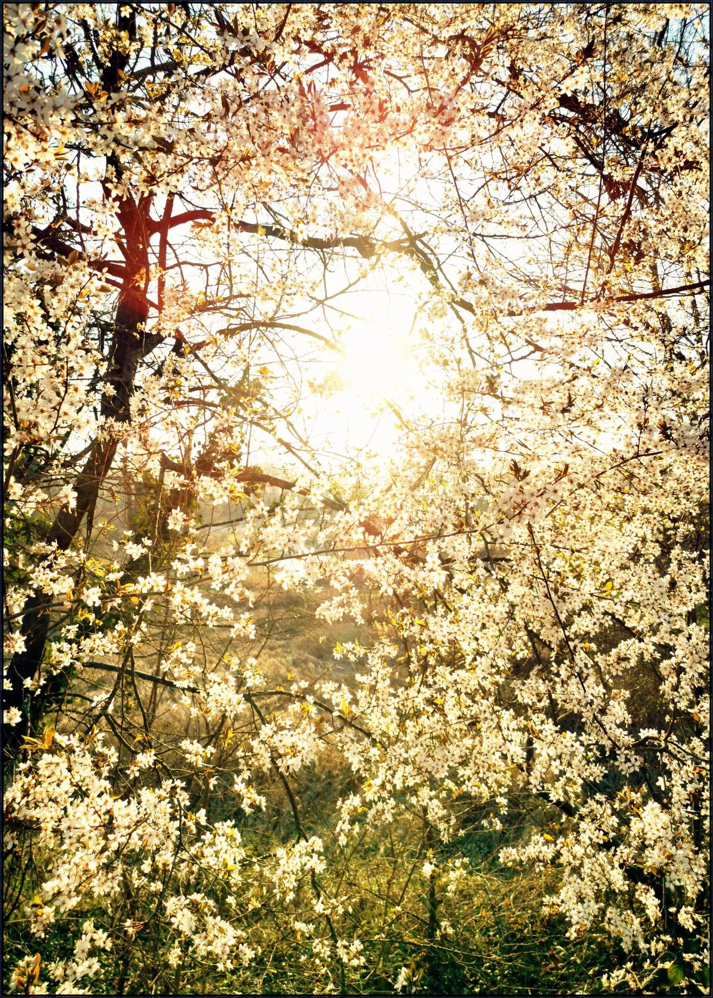 Hope
