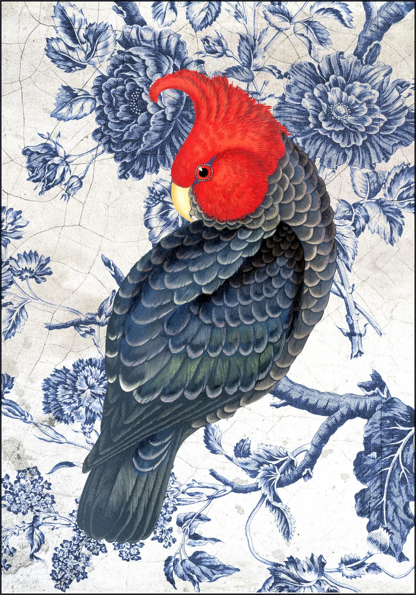Chinoiserie Cockatoo