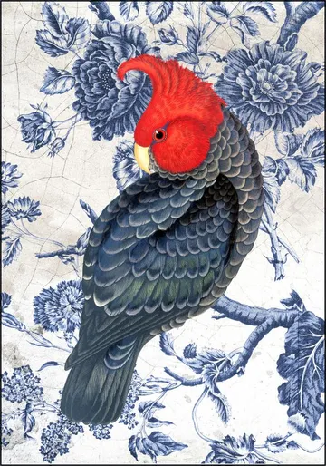 Chinoiserie Cockatoo