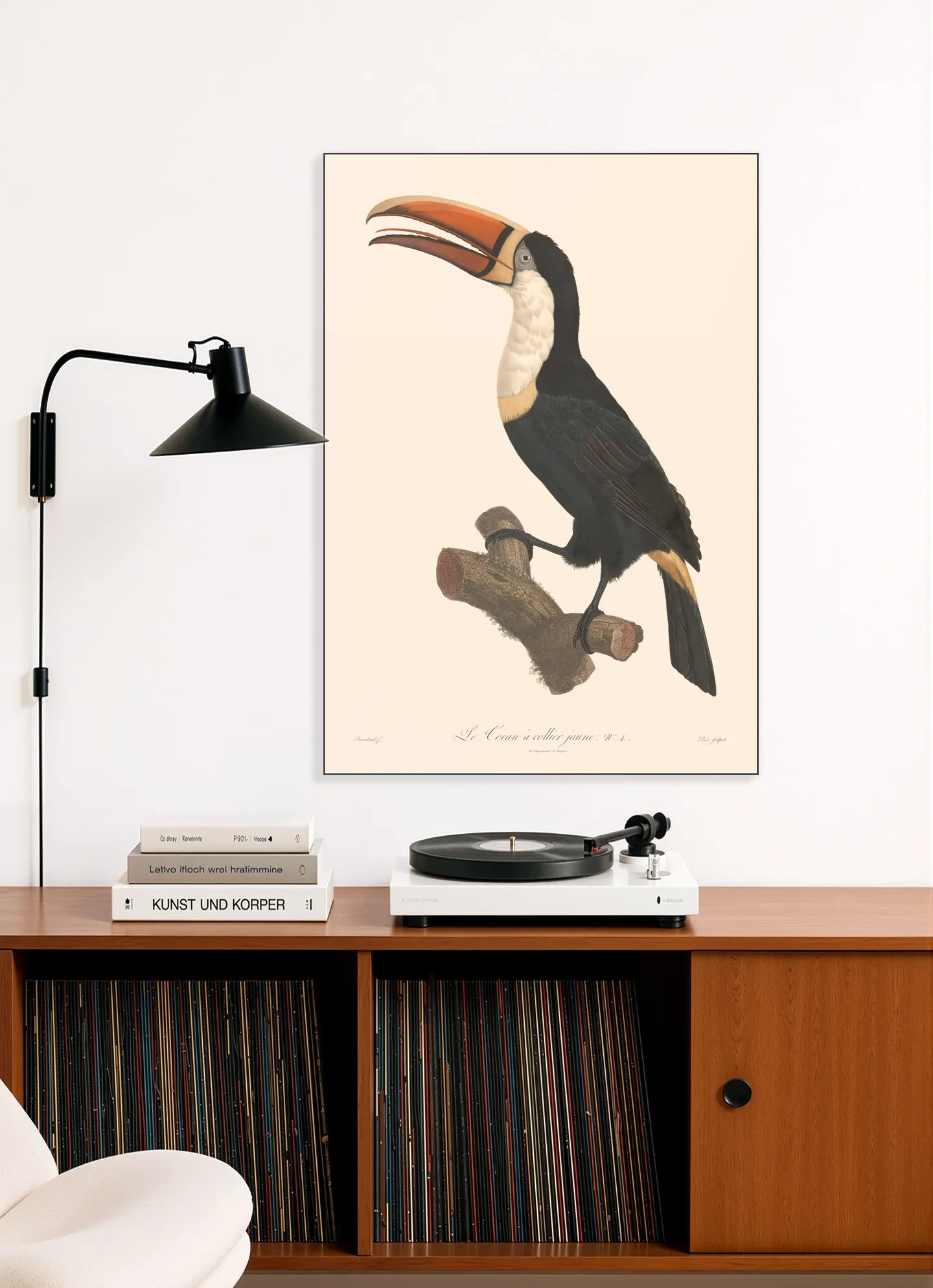 Le Toucan a Collier Jaune