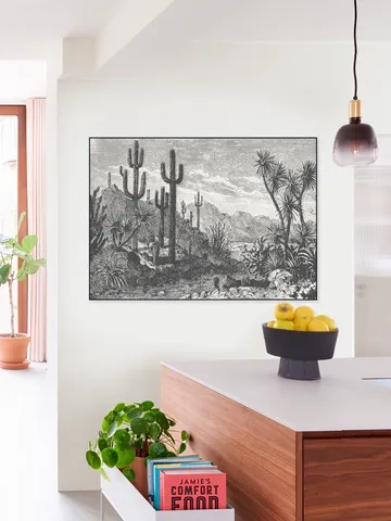 Cactuses in Mountains