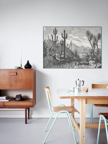 Cactuses in Mountains