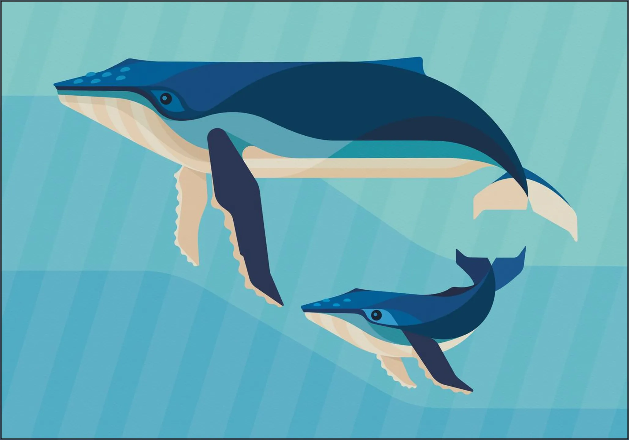 Humpback Whale