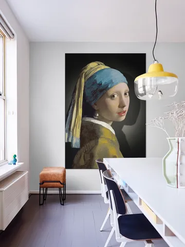 Girl with a Pearl Earring - the simply shaded edition