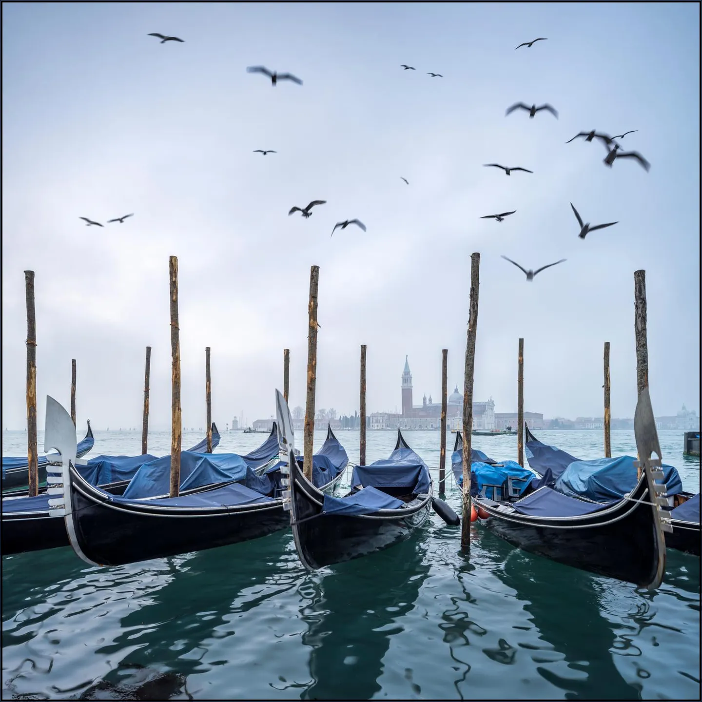 Gondolas at the pier with San Giorgio Maggiore island in the background, Venice, Italy