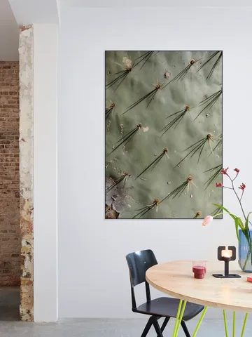 Cactus Zoom