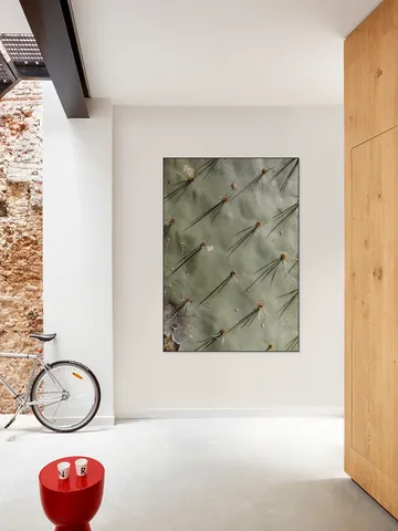 Cactus Zoom