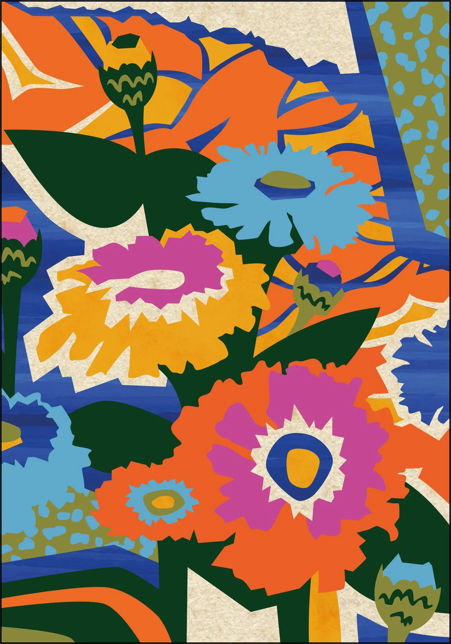 Zinnia 