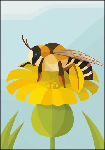 Pantaloon Bee
