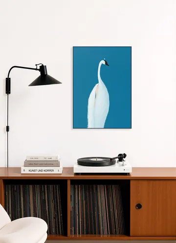 Swan Maybe