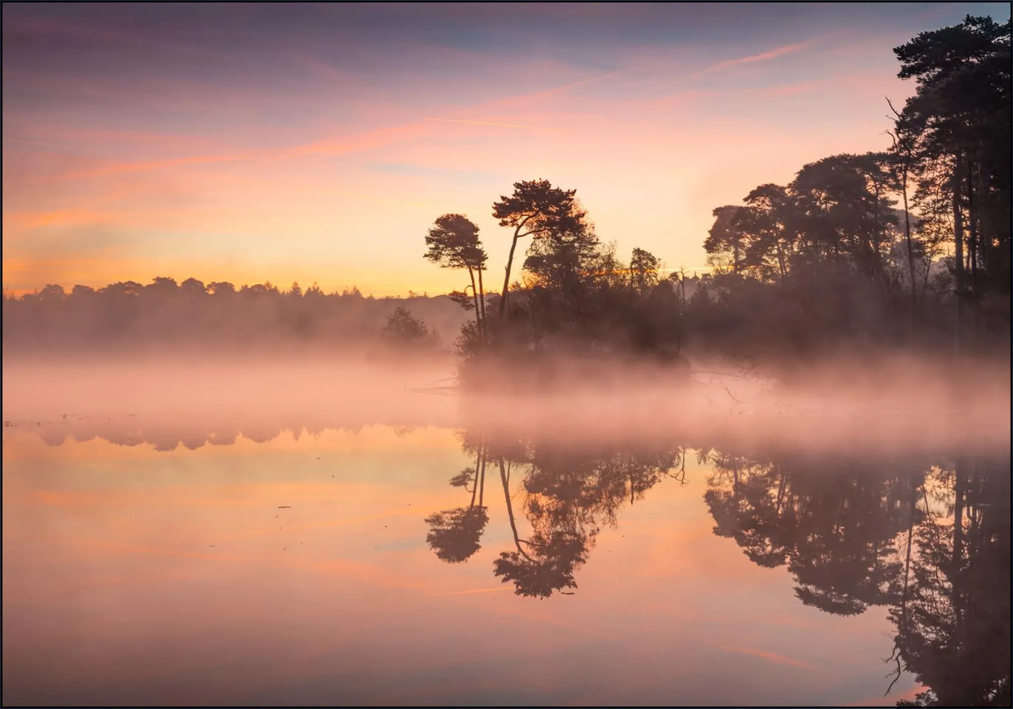 Foggy Morning in Oisterwijk