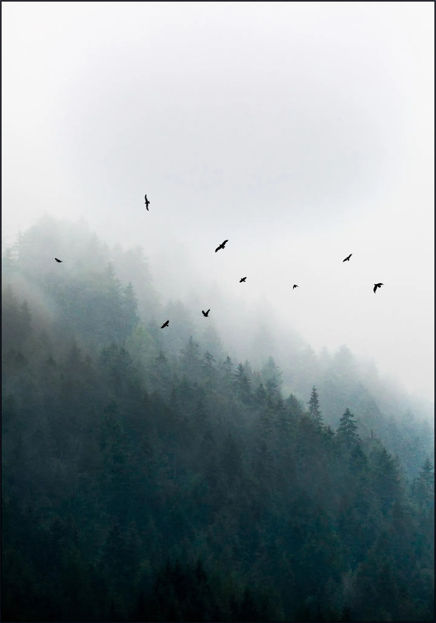 Foggy Morning 4