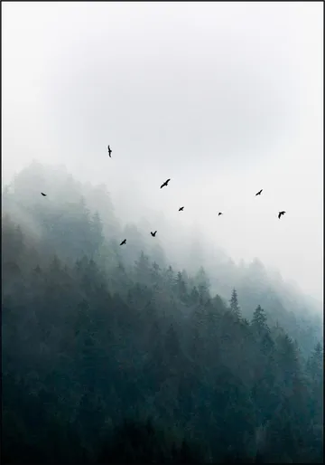 Foggy Morning 4