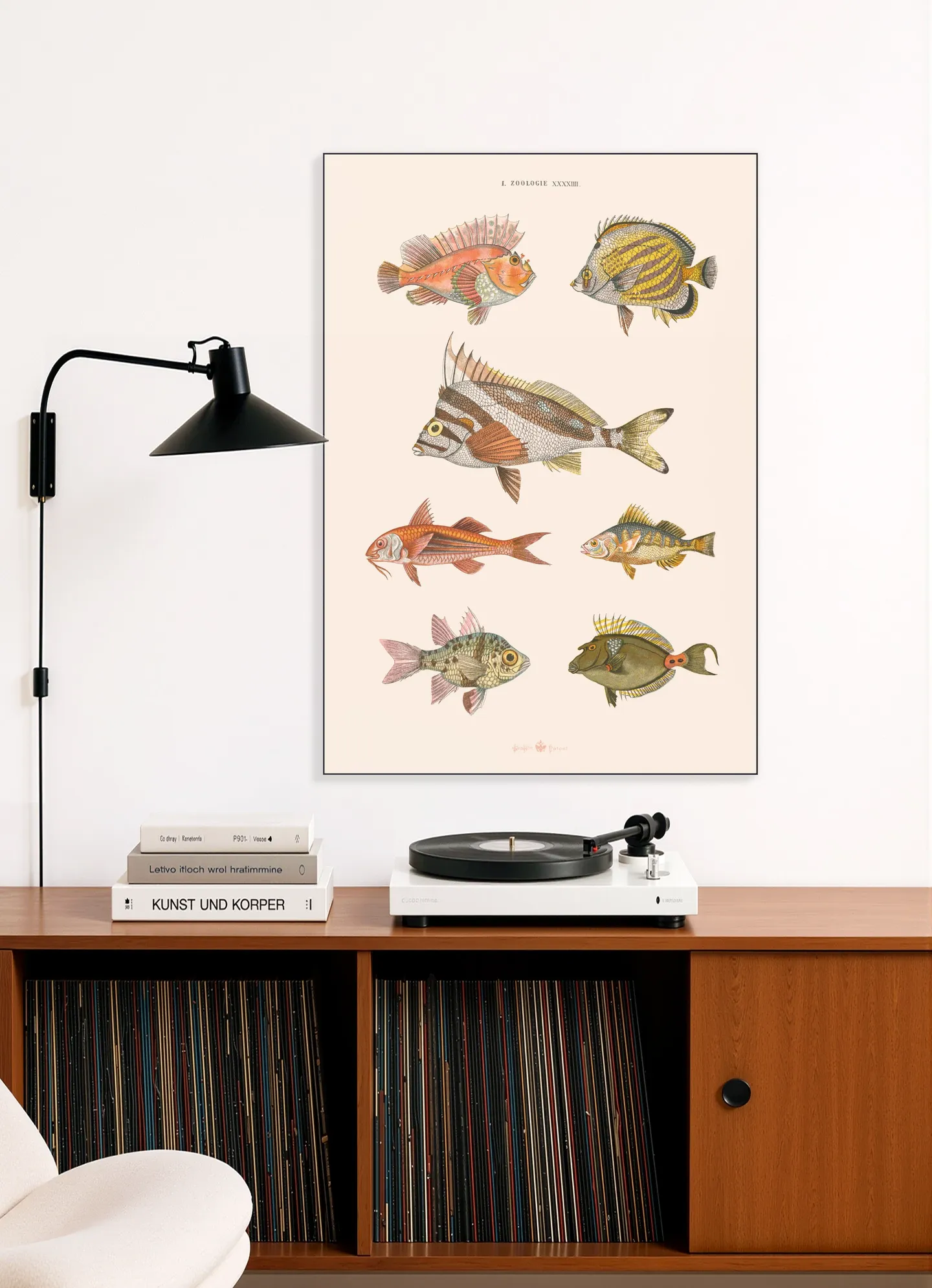 Zoologie XXXXIIII - Poissons