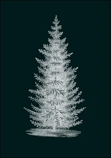 Forest Tree dark
