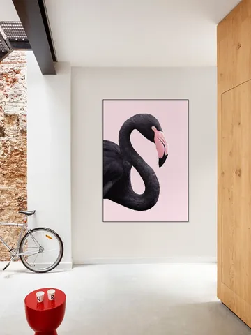 Black Flamingo