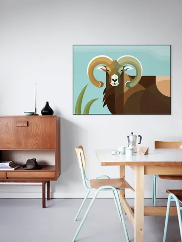 Mouflon