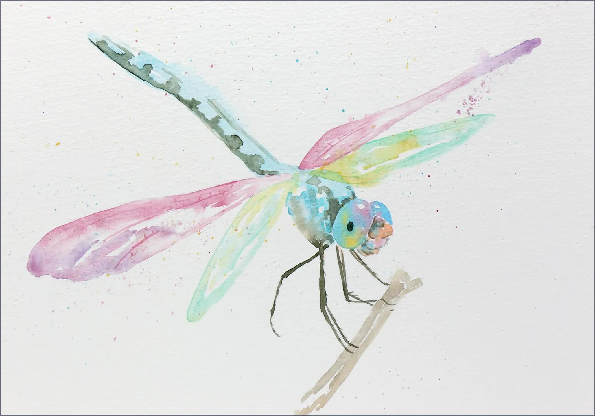 Dragonfly