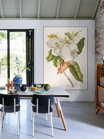 Magnolia