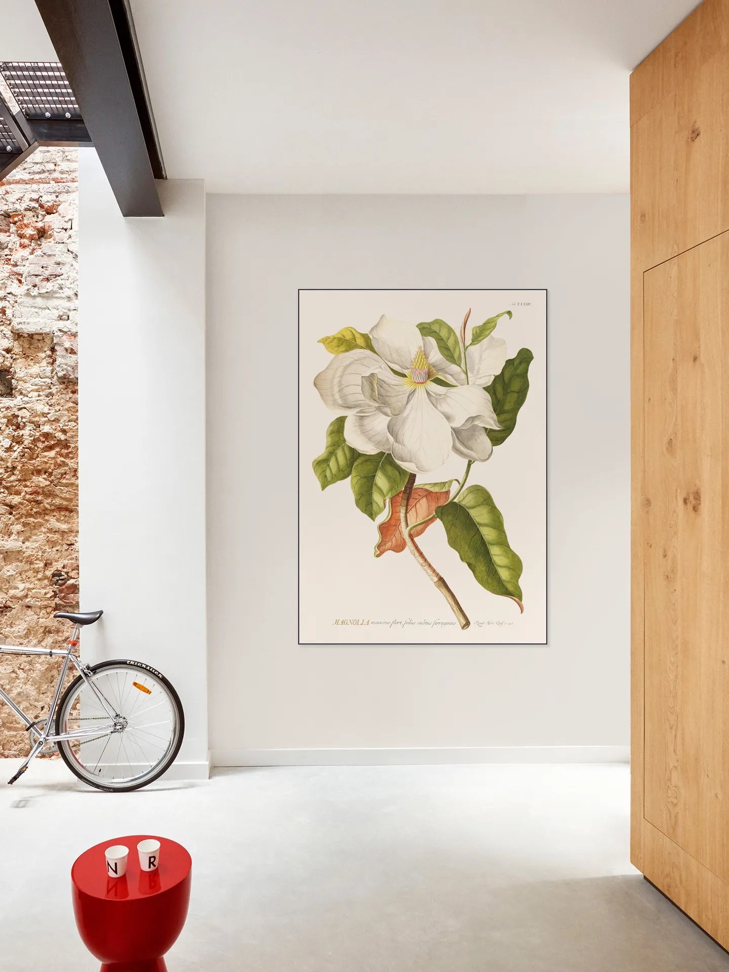 Magnolia