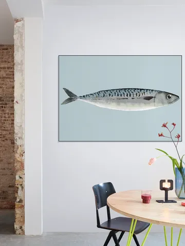 Mackerel