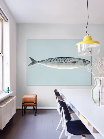 Mackerel