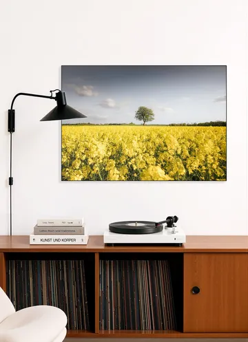 Golden Field Morning