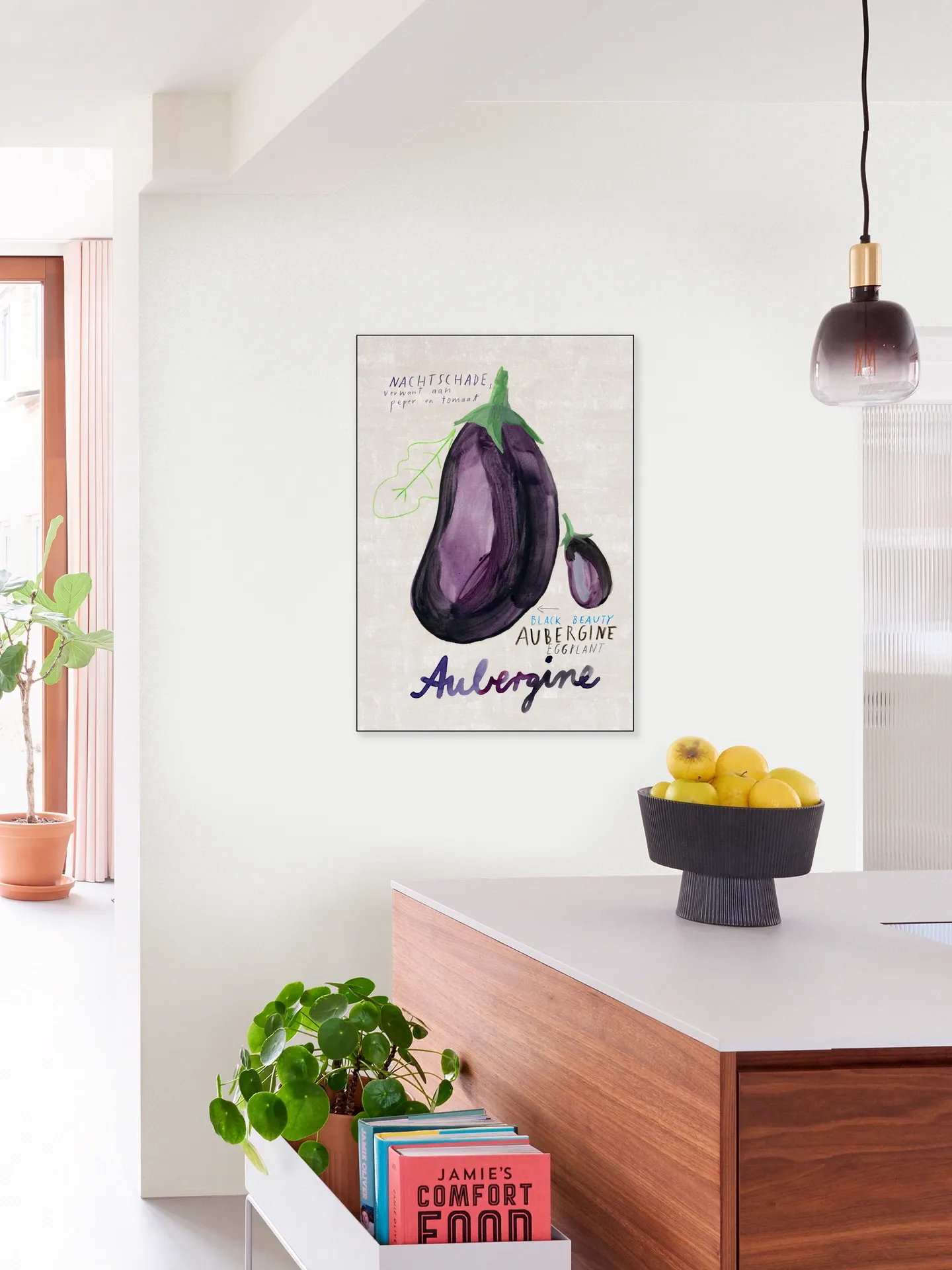 Aubergine NL