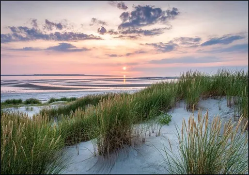 Relaxing sunset at the dune beach