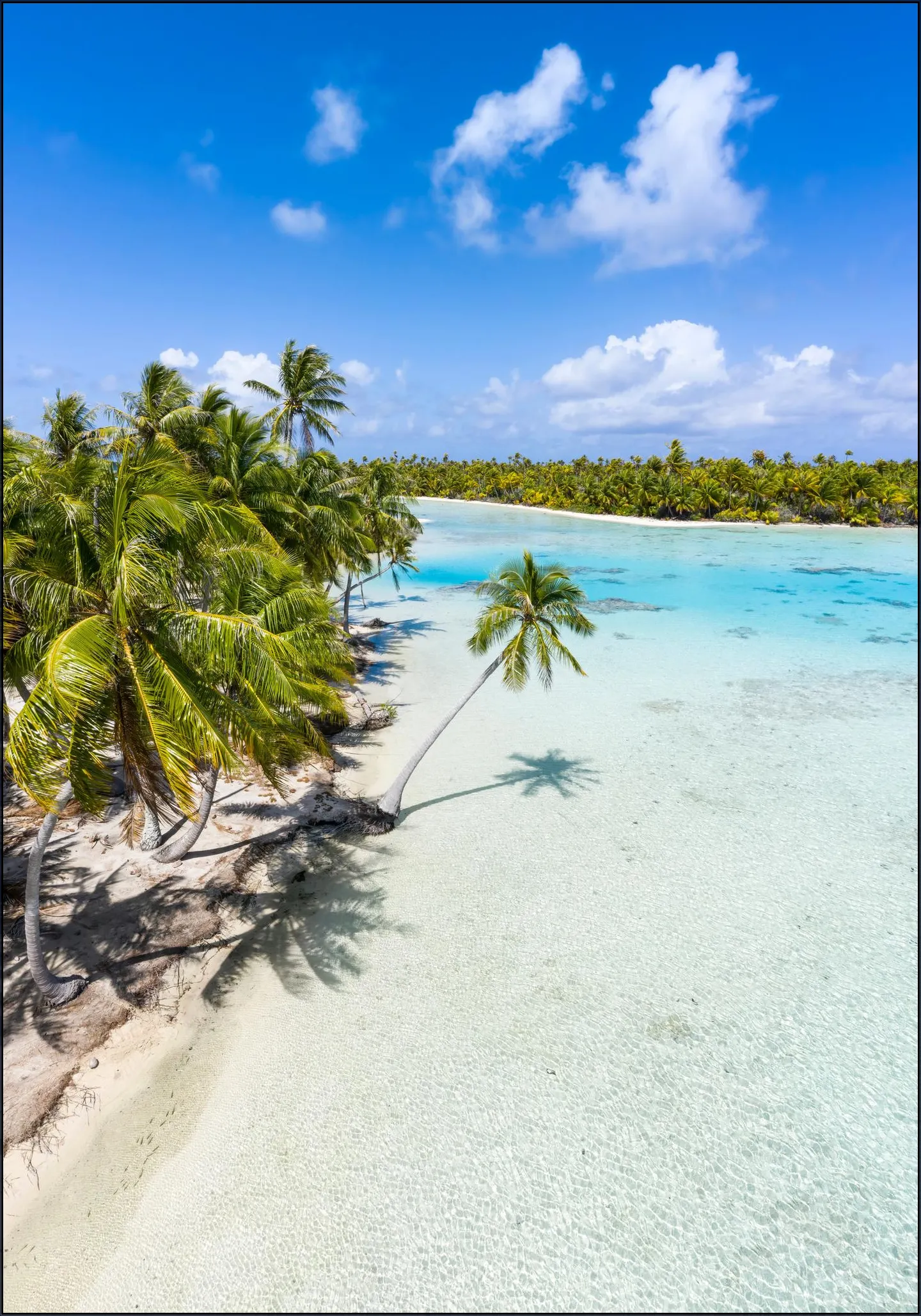 Blue Lagoon - French Polynesia