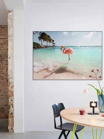 Flamingo Series Crystal Clear
