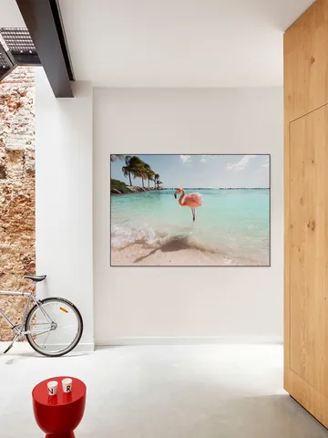 Flamingo Series Crystal Clear