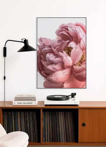 Peony