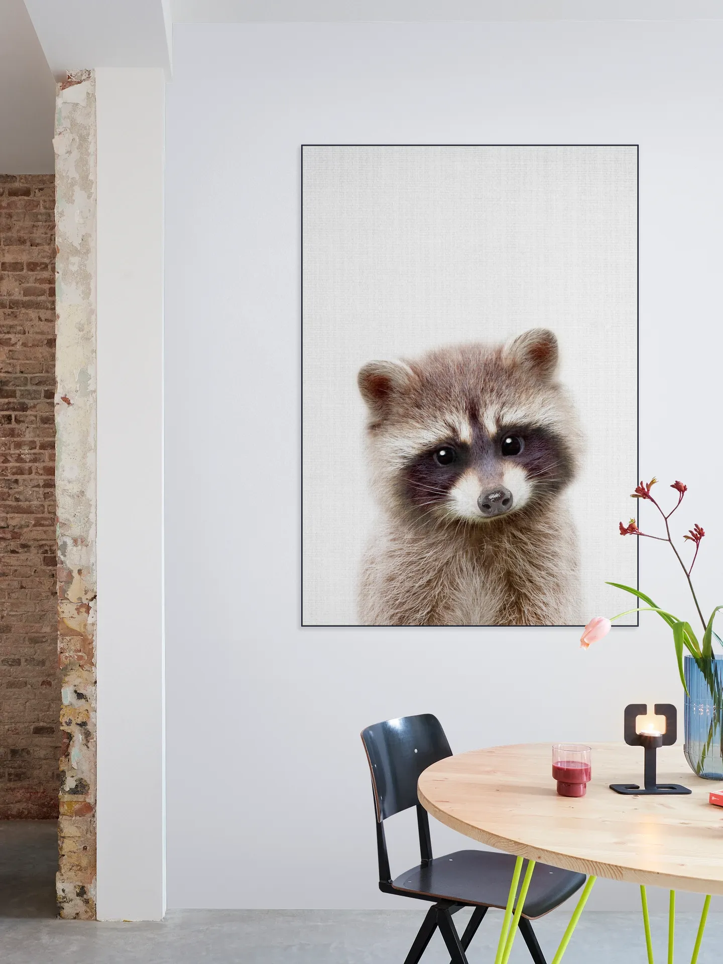 Raccoon