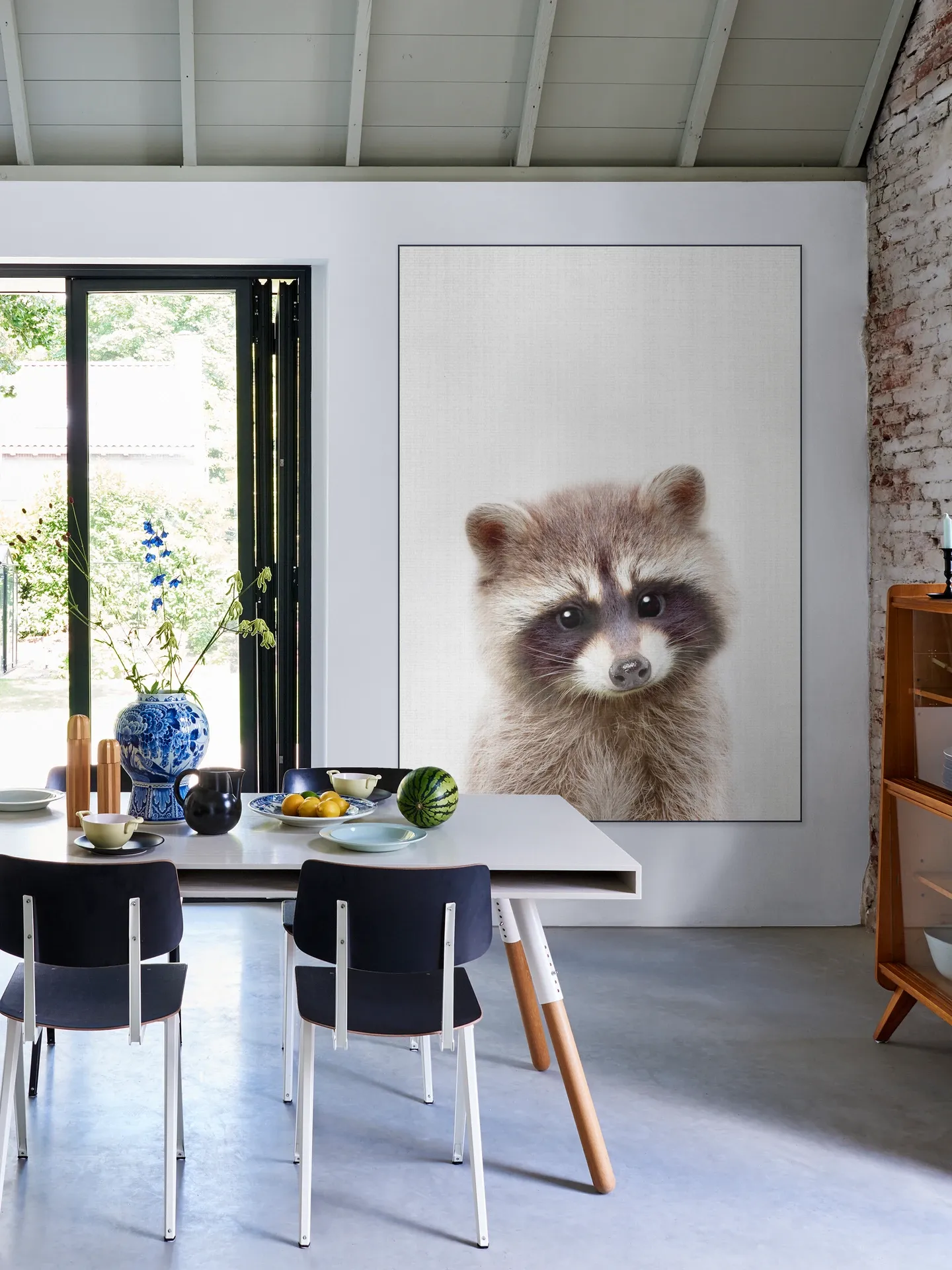 Raccoon